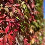 Lejlighed Falkenwohnung