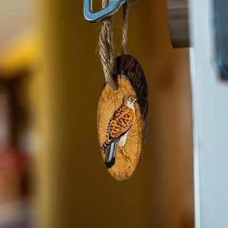 Falkenwohnung דירה *