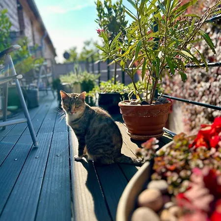 Falkenwohnung Gommern