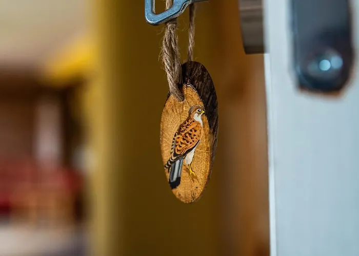 Falkenwohnung Apartman *