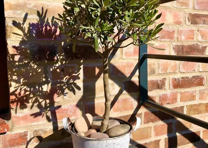 Falkenwohnung Gommern